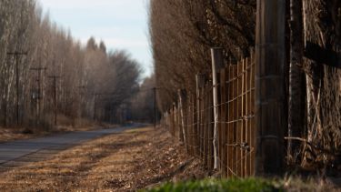 Las heladas se harán sentir en la región, aunque habrá mayor amplitud térmica. Foto: Juan Thomes.-