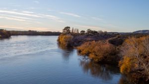 De barrio Nuevo a Paso Córdoba: una nueva excursión guiada al área natural protegida