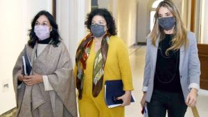 Vizzotti, Ibarra y Nicolini exponen en el Congreso sobre el DNU de vacunas