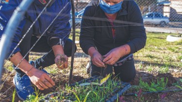 La huerta del centro de Salud entusiasma a las familias que se animan a producir su propio cultivo. Foto Juan Thomes.
