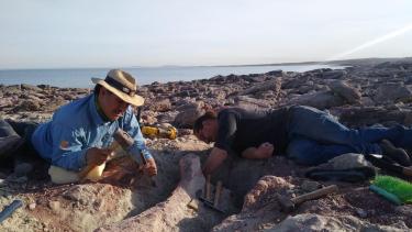 Los trabajos de rescate de los fósiles se harán durante la bajante del Lago Los Barreales. Foto: Gentileza