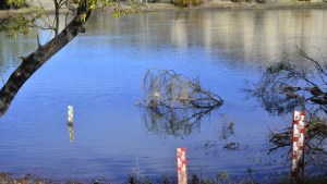 Advierten por aumento del caudal en el río Negro