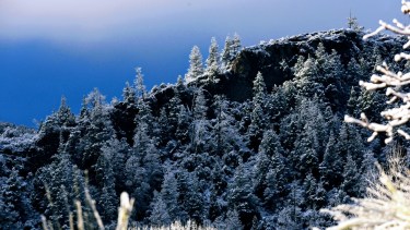 En America Latina la firma invertirá en la restauración de bosques. Foto: archivo. 