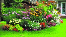 Imagen de Cada tarea tiene su momento en el jardín