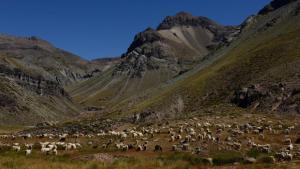 Denuncian que el gobierno de Neuquén no entrega títulos de tierras a los campesinos
