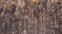Imagen de El Splif de El Bolsón trabaja para evitar incendios como el de Cuesta del Ternero