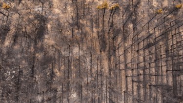 El incendio forestal en la zona de Cuesta del Ternero se extendió 43 días. Foto: archivo
