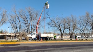 Comenzó la instalación de luces led en la Ruta 22 en Regina