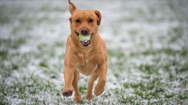 El mediodía es el mejor horario para jugar al aire libre, ya que el frío se siente con menor intensidad.-