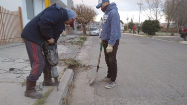 El municipio de Regina comenzó a reparar un tramo de 200 metros del cordón cuneta en la calle Libertad. 