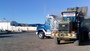 Los mineros neuquinos que tienen un dinosaurio en la familia