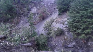 Barro y árboles cayeron sobre la Ruta 40. (Gentileza Diario Andino).-