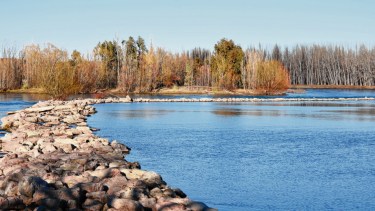 La AIC al borde del default le reclama a Nación una deuda de u$s 4 millones
