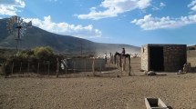 Imagen de Por la sequía, proyectan acciones en Neuquén para mitigar el impacto en la ganadería