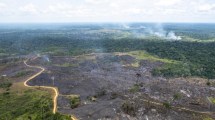 Imagen de Brasil cada vez más seco: perdió 15% de su agua dulce en 30 años