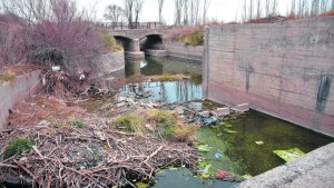 Escenario: dilema por la escasez de un recurso vital
