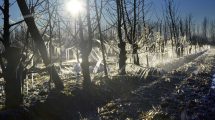 Imagen de ¡Brrr! El feriado llega con heladas y bajas temperaturas: mirá el pronóstico