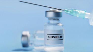 La vacuna más avanzada la desarrolla la Universidad de San Martín con investigadores de Conicet y el laboratorio Cassará. 
