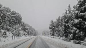 Nieve en la cordillera: exigen el uso de cadenas en la ruta 40