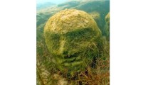 Imagen de Además del minotauro, ¿conocés los otros misterios sumergidos en un lago de Neuquén?