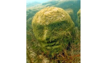 La misteriosa cabeza está sumergida en una parte del lago Mari Menuco que no es de fácil acceso. (Gentileza).-