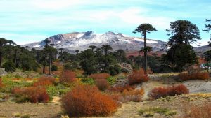 Volcán Copahue: desde el gobierno afirman que «se encuentra bajo control»
