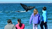 Imagen de El Doradillo, la playa donde las ballenas avistan a la gente a 15 km de Puerto Madryn