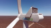 Imagen de Renovables: cómo es el plan de Genneia para que el 100% de la energía que provee sea verde 