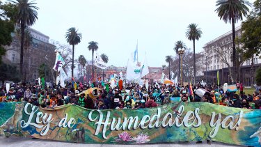 Organizaciones socioambientales presentaron un petitorio para que se trate la Ley de Humedales.