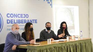 Concejales y dirigentes del Frente de Todos realizaron una conferencia por la Isla 132 en el Deliberante de Neuquén. Foto: Florencia Salto.