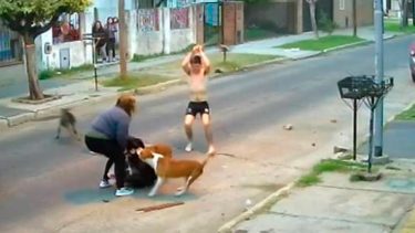 Uno de los vecinos de la cuadra reaccionó rápido y ahuyentó a los perros.