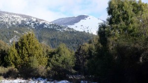 Gennuso avanza con el remate de tierras en el oeste de Bariloche, a riesgo de no encontrar oferentes