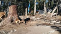 Imagen de Terminó la toma del ISSN en La Angostura y las tierras fueron devueltas