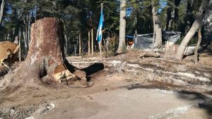 Toma de terrenos en Villa la Angostura terminó con una condena