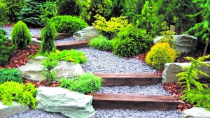 Diseñar nuestro jardín, una misión posible