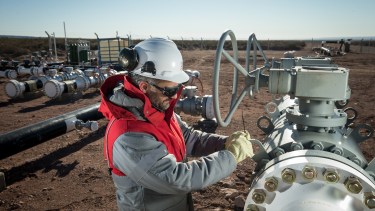 Las productoras como PAE ya sellaron contratos e incluso abrieron sus propias sedes en Brasil.