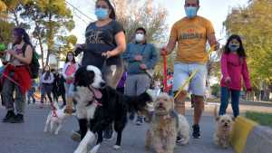 Con un quirófano móvil en la plaza, empezaron las actividades por el Día del Animal en Roca