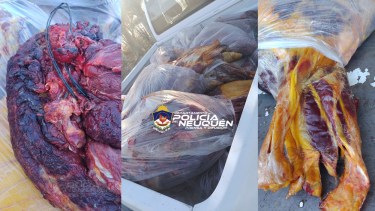 La carne era trasladada desde Cutral Co en un camión. Foto: Gentileza