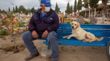 Imagen de Bobby, el perro que alivia el dolor en el cementerio de Roca