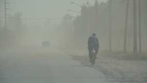 El viento intenso golpea a Río Negro y Neuquén: ¿hasta cuándo seguirá?
