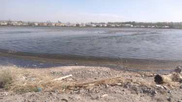 El arroyo Durán y el pluvial Saavedra, contaminados con cloacas en Neuquén