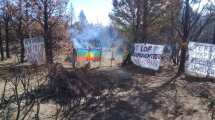 Imagen de Comunidad mapuche y empresario forestal compartirán un camino de ingreso en Cuesta del Ternero