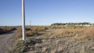 Se conocerán las ofertas para dotar de servicios a 134 lotes en Viedma