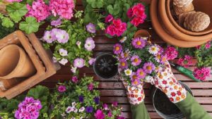 Especial primavera: diez flores que nunca desentonan
