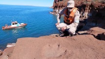 Imagen de Prefectura encontró huellas de un dinosaurio carnívoro en un patrullaje en El Chocón