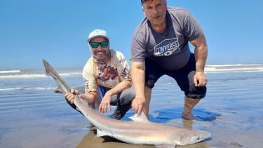 La buena pesca de primavera genera un movimiento importante durante los fines de semana. 