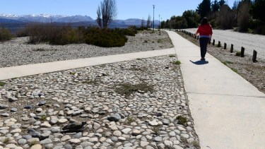 El nuevo proyecto técnico fue encargado a los equipos del DPA. Foto: Chino Leiva