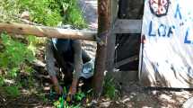 Imagen de Giro en la causa de Villa Mascardi: Parques pide ahora llevar a juicio a mapuches por usurpación
