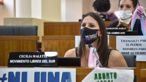 El Deliberante de Neuquén aprobó una iniciativa que intentará reducir la malnutrición en familias vulnerables