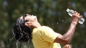 ¿Team Verano o Team Invierno? El debate que llenó de memes las redes